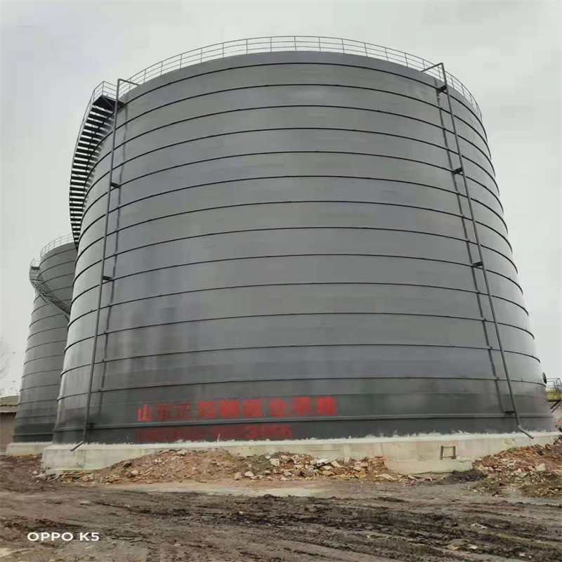 天长3万吨大型钢板库