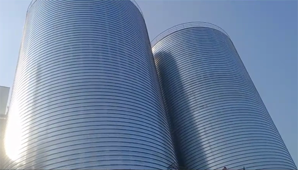 天长2座混凝土高架卷板仓